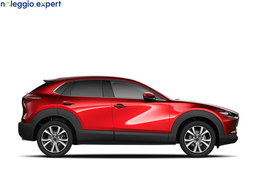 MAZDA CX-30 4WD M Hyb.Centre L
