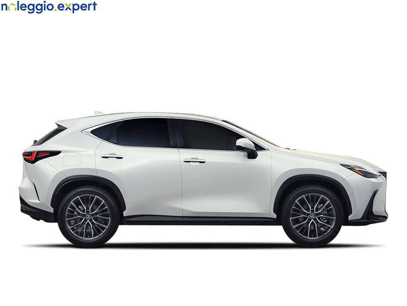 LEXUS NX Business